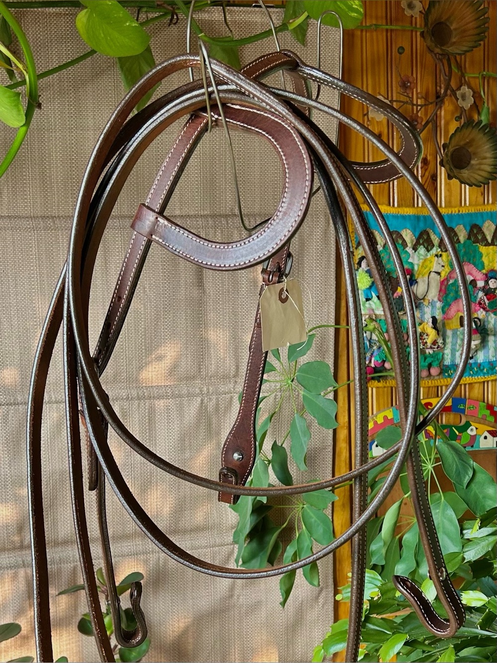 🐴 Two Ear Headstall w/ Split Reins